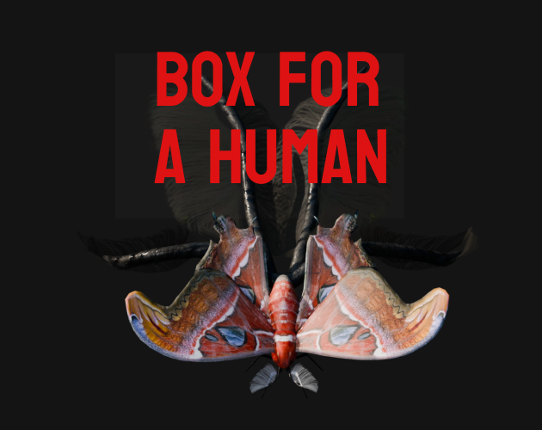 Box for a Human Image