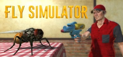 Fly Simulator Image