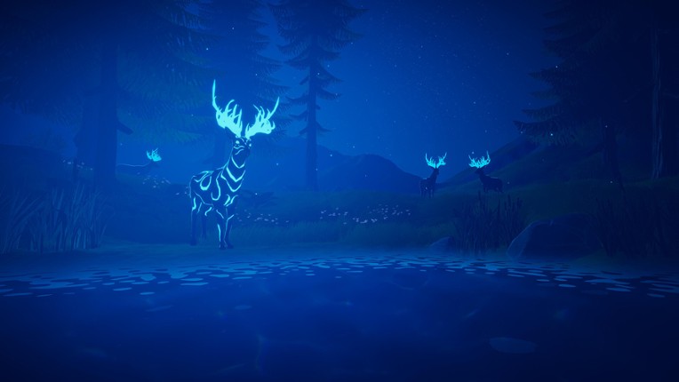 Follow My Steps screenshot