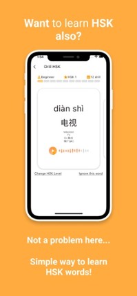 Pinyin Drill Image