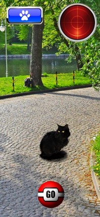Pocket Cats GO screenshot