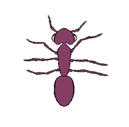 Ants: Colonial Mismanagement Image