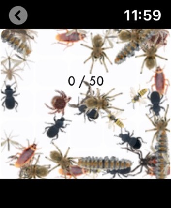 Bug Plague - Play on Watch Image