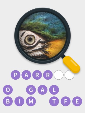 Close Up Pics - Quiz Word Game Image