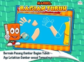 Marbel Bagian Tubuh Image