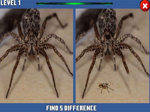 Games like Spider Hidden Difference