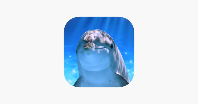 Tap Dolphin -simulation game- Image