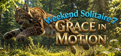 Games like Weekend Solitaire 7 Grace In Motion