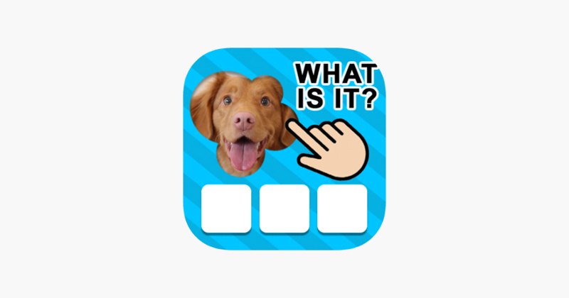 101 Pics.io Game Cover