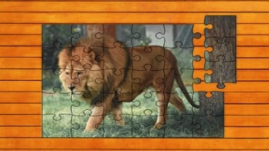 Big Cat Jigsaw Quest Image