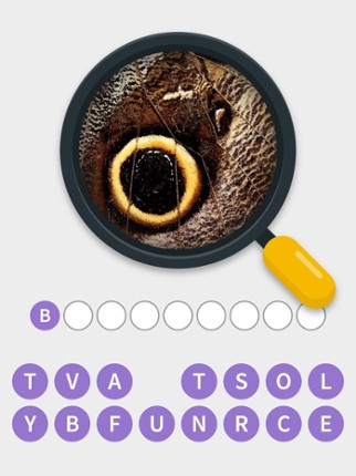 Close Up Pics - Quiz Word Game Image