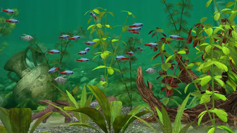 Fish Farm 3 - Aquarium Image