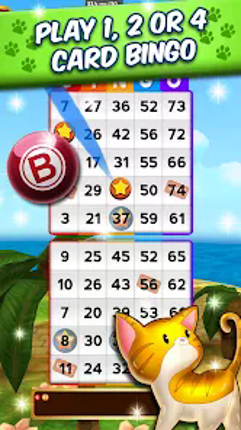 My Bingo Life - Bingo Games Image