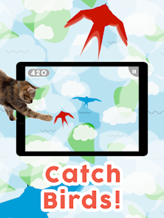 Games for Cats! screenshot