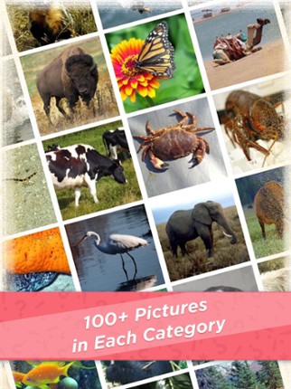 101 Pics.io screenshot
