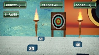 Archery Targets Super Hit Image