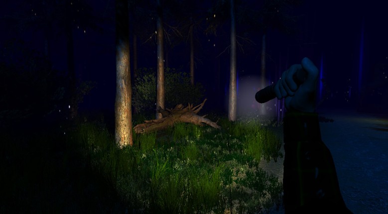 Dawn in bloody darkness Image