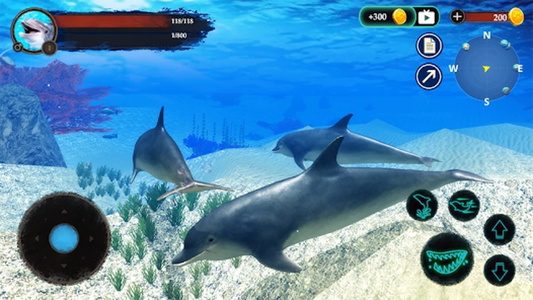The Dolphin Image