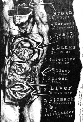 Organs Without Bodies: A Mothership RPG Low-Fi Zine Image
