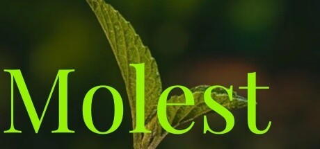 Games like Molest