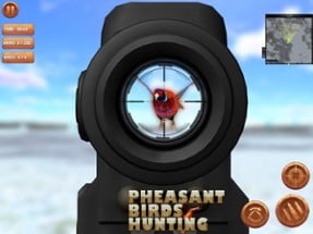 Pheasant Bird Hunting Pro Image