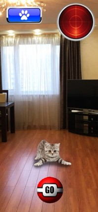 Pocket Cats GO screenshot