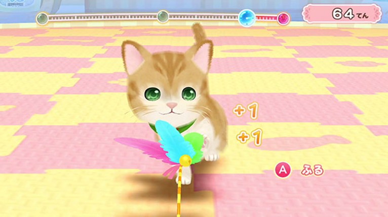 Pups & Purrs Pet Shop Image