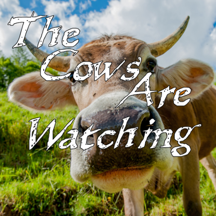 The Cows Are Watching Image