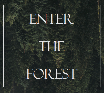 Games like Enter the Forest