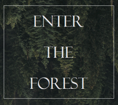 Enter the Forest Image