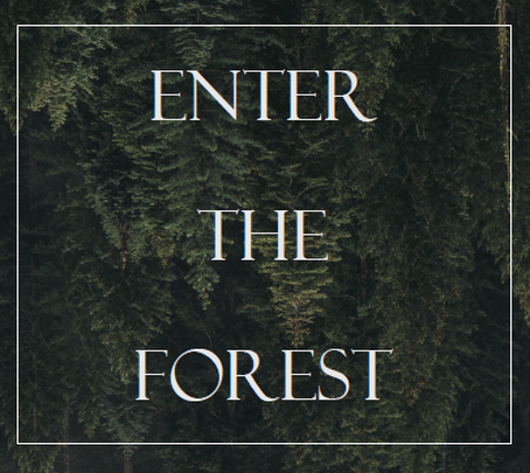 Enter the Forest Game Cover