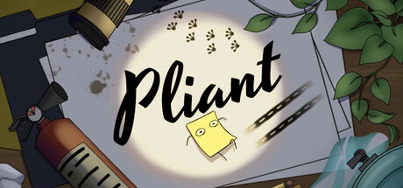 Pliant Image