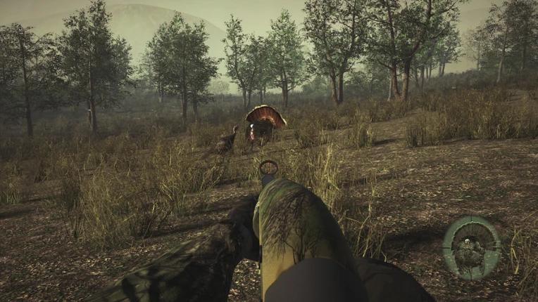 Pro Tukey Hunting Image
