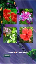 Spring Jigsaw Puzzles Image