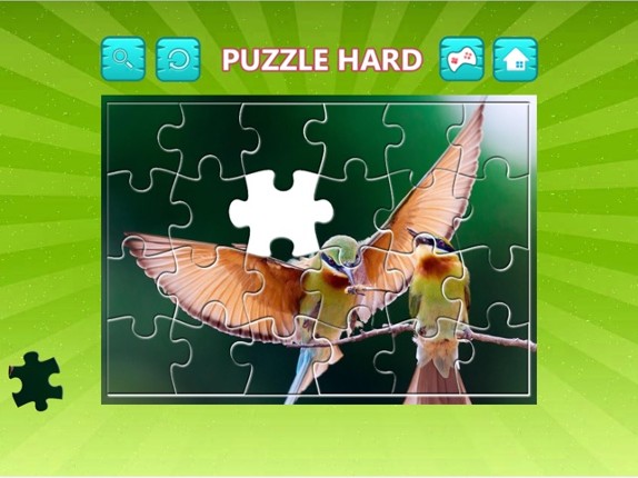 Bird Jigsaw Easy and Hard - Learn Puzzles For Kids screenshot