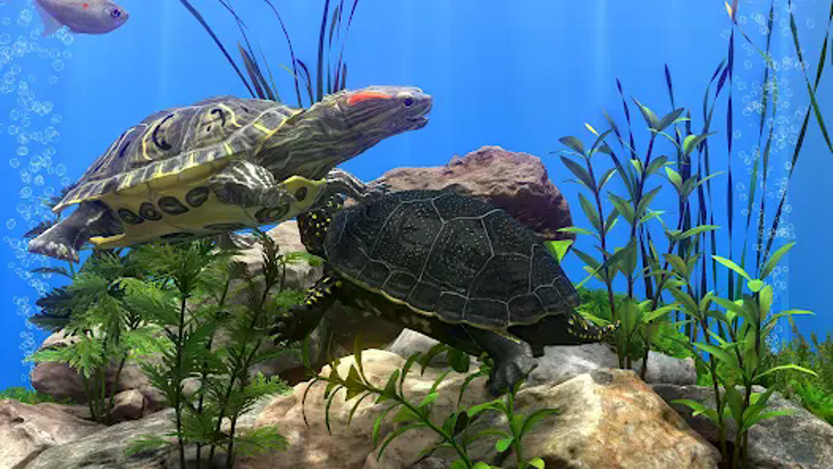 Fish Farm 4: 3D Aquarium Image
