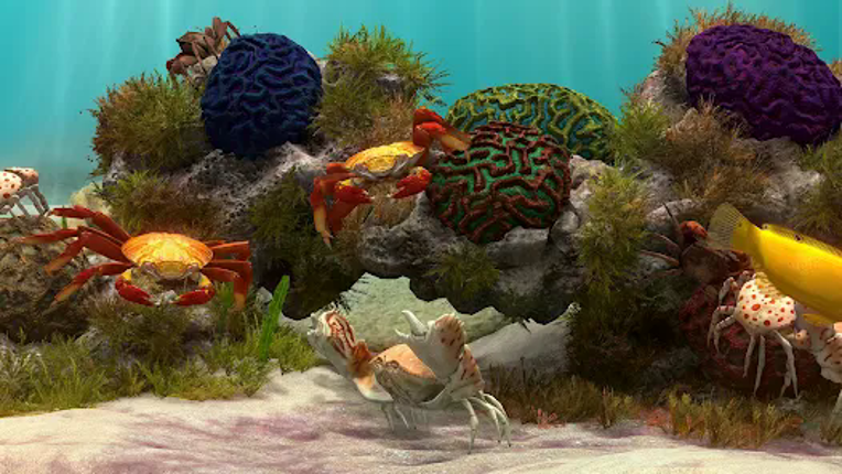 Fish Farm 4: 3D Aquarium screenshot