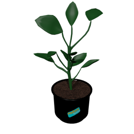 Mellow Farming Image