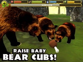 Wildlife Simulator: Bear Image