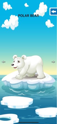 Animals Flashcards &amp; Puzzles screenshot