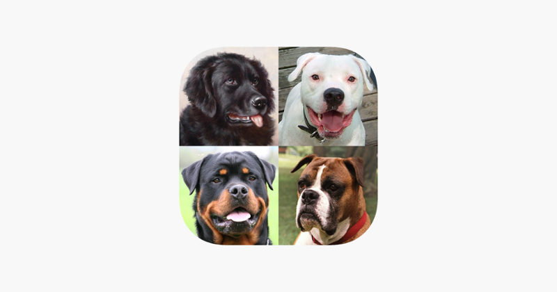 Dogs Quiz: Photos of Cute Pets Game Cover