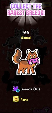 My Cat Album: Pet Sticker Game Image