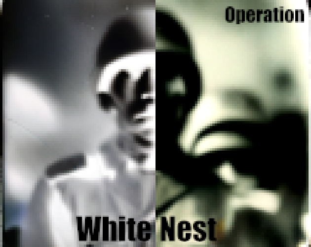 Games like Operation: White Dragon's Nest