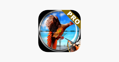 Pheasant Bird Hunting Pro Image