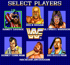 WWF Superstars Image