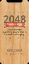 2048 Number Saga Image