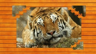 Big Cat Jigsaw Quest Image