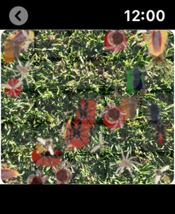 Bug Plague - Play on Watch screenshot