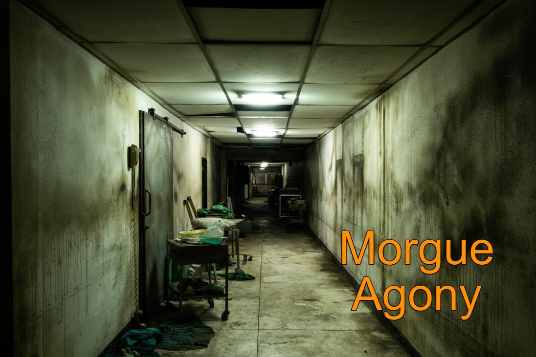 Games like Morgue Agony (VR)