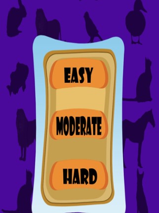 Ninu's Animal Match Card Game Image